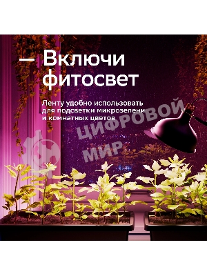 Лента светодиодная Sber SBDV-00038