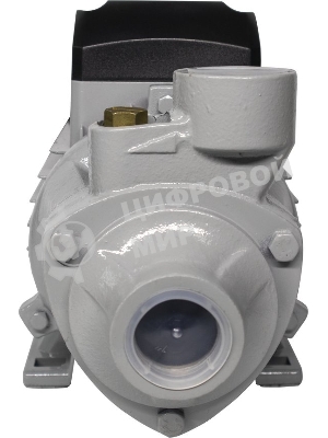 Поверхностный насос ПСН-3300Ч Ресанта