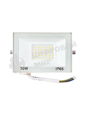 Прожектор Rexant СДО 30 Вт 2400 Лм 5000 K белый корпус