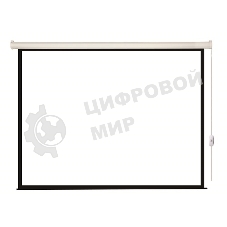 Экран с электроприводом Lumien Eco Control 128x171 см (раб. область 122х165 см) Matte White черная кайма по периметру 4:3