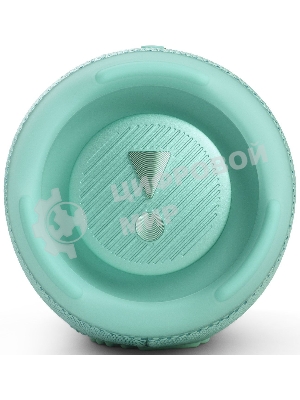 Портативная акустика JBL Charge 5, бирюзовый