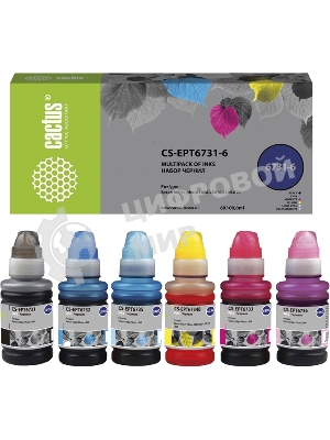 Чернила Cactus CS-EPT6731-6