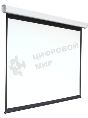 Экран 159x159см Digis Electra-F DSEF-1103 1:1 настенно-потолочный рулонный (моторизованный привод)