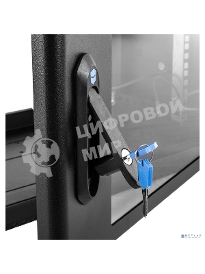 Шкаф коммутационный ЦМО (ШРН-6.350-9005) настенный 6U 600x350 мм пер. дв. стекл 200 кг черный 300 мм 180 град.