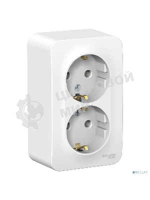 Розетка 2-ая с/з без шторок 16А, 250 В, изолир. пластина SE Blanca наруж Бел