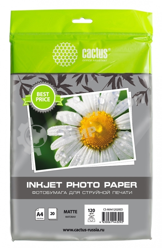 Фотобумага Cactus CS-MA412020ED A4/120г/м2/20л./белый матовое для струйной печати