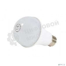 Лампа аварийного освещения АКБ БАСТИОН SKAT LED-220 E27 Li-ion 5 W, 6000 k, 350 лм, 3ч (2455)