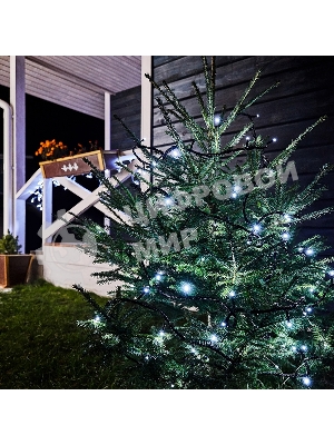 Гирлянда Neon-night 