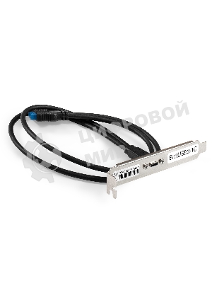 Планка портов в корпус Type-C ExeGate BrctUSB3-1C (USB 3.2 Gen1 20pin (IDC 20pin F) --> USB 3.2 Gen1 Type-Cf, кабель 30 см)