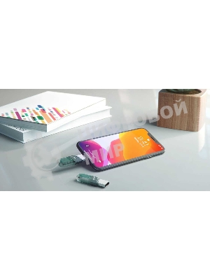 Флешка USB Sandisk 128Gb iXpand Flip SDIX90N-128G-GN6NE USB3.1 зеленый/серебристый