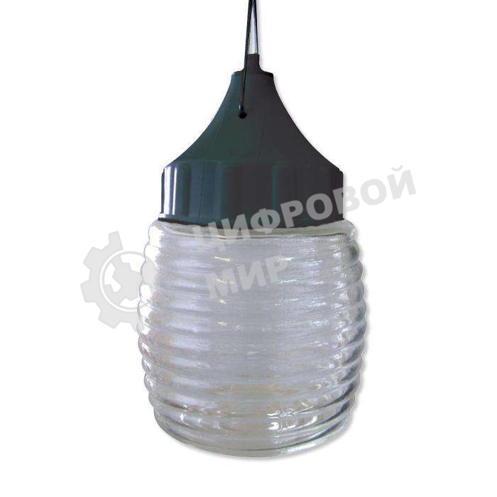 Светильник ЭЛЕТЕХ НСП 03-60-001 