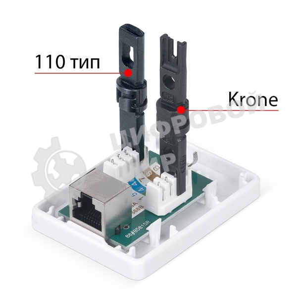 Розетка в сборе Cabeus, 1x RJ45(8P8C), кат. 6, экр., внешняя, белый, (WS-8P8C-Cat.6-SH-1)