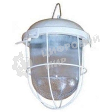 Светильник НСП 02-100-003 с решеткой Владасвет 10112