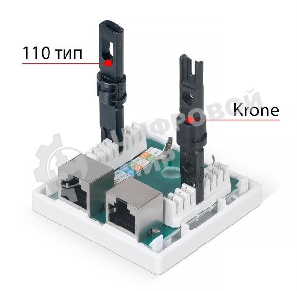 Розетка в сборе Cabeus, 2x RJ45(8P8C), кат. 5е, экр., внешняя, белый, (WS-8P8C-Cat.5e-SH-2)