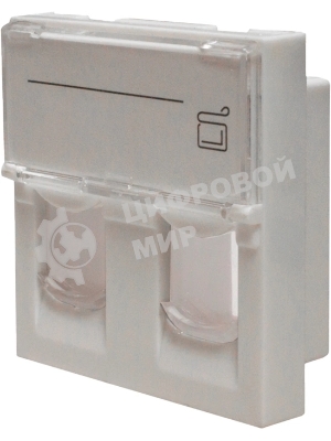 Панель Suprlan 10-0302-1, лицевая со шторкой 45x45, 2xKeystone ABS пластик, белый