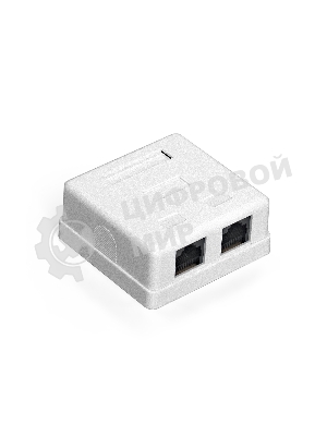 Розетка компьютерная двойная ExeGate SM2-RJ45-C6 RJ-45 кат.6 UTP Krone/110