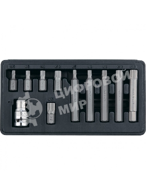 Набор бит Stels SPLINE, шестигранный хвостовик 1 1/2'', CrV, 10 мм, 11 пред.