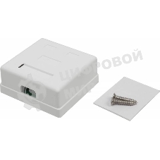 Розетка TWT (TWT-SM2-4545-WH) настенная 2 порта RJ-45 категории 5е. UTP. белая